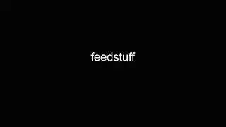 feedstuff video Dictionary meaning and pronunciation