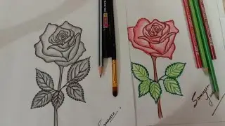 How to draw rose flowers easy tutorial  for beginners