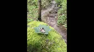 Ethnic House | Org&aacute;nic House | Nature Vibes |  DJ Set