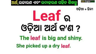Leaf Meaning in Odia || vocabulary in Odia with Examples and pronunciation || Spoken English in Odia