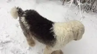 Медвежонок в зимнем лесу