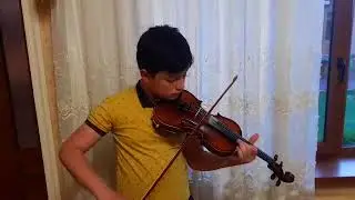 Model HV900 Sinomusik High grade violin  -Sinomusic enterprise