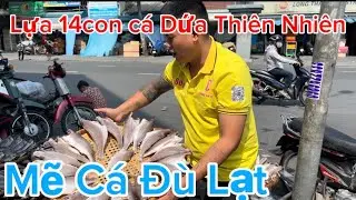 Chợ Bình Tây Những Ngày Vào Mùa Tết Mới Nhất | Khô Cá Dứa Thiên Nhiên | Khô Cá Sặc Lạc| Khô Cá Chèn