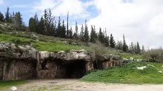 יער בן שמן, בקעת הנזירים, תל חדיד