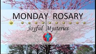 Monday Rosary • Joyful Mysteries of the Rosary 💙 April 21, 2025 VIRTUAL ROSARY - MEDITATION