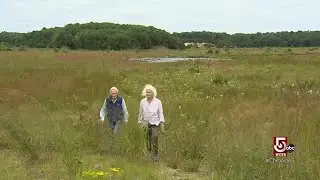 Restoring wetlands in Plymouth