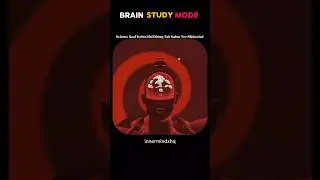 Stop Studying Wrong &ndash; Use This Brain Hack#StudyTips #FocusMode #ExamPreparation #StudentShorts
