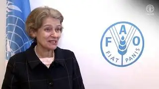 Remarks by Irina Bokova, former Director General of UNESCO