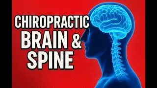 How Chiropractic Care Positively Affects the Brain