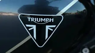 2025 Triumph Speed Twin 900 Phantom Black Aurum Gold walkaround.