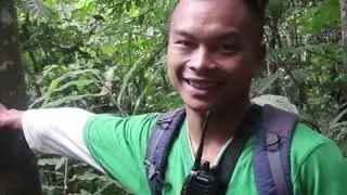 Community Forest - Payment for Ecosystem Services (PES) at Babagon Catchment, Sabah, Malaysia