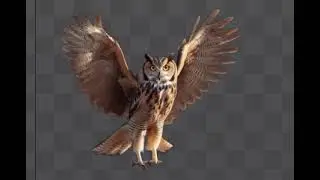 OWL Spine 2D