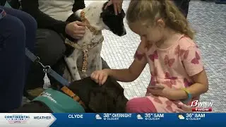 Several children finalized into forever homes on National Adoption Day