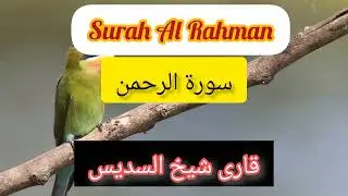 Surah Al Rahman #by Sheikh  Abdur Rahman Al Sudais #beautiful #voice #like #subscribe #viral #fyp 