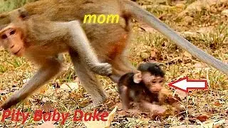 Why! Why Young Mom Duchess Doing Like This on Poor Baby Duke? | Much Pity Baby