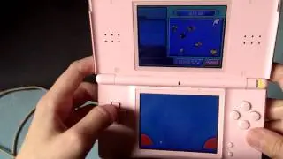 Pr&eacute;sentation de mes pok&eacute;mon sur pok&eacute;mon diamant(prinplouf)