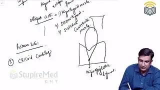 Anatomy of Larynx  by Dr. Hitinder Attrey - ENT  faculty of StupireMed