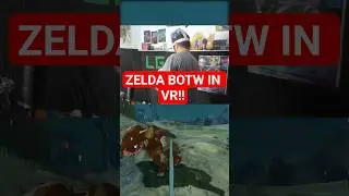 POV Dummer Bokoblin vs Last in VR! #zelda #botw #nintendo #switch #fy #nintendoswitch2