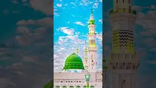 a wise person is on who understands of allah, the understanding of the word...