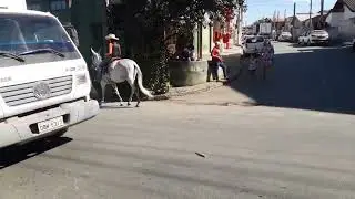 romaria de cavalos ate o sertao de ibiuna