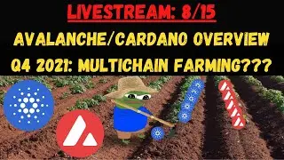 Discussing Farming on Avalanche/Cardano; Is Q4 the era of Multi-Chain Farming???