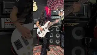 Vicarious - Tool Bass Cover Pt. 1
