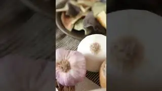 StockVideo - Close Up Video of Food | non copyright video | Free Download | shorts