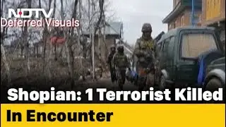 Terrorist Killed In Encounter In J&K's Shopian, Anti-Terror Ops On