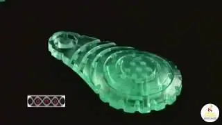 Технология амортизации Brooks DNA