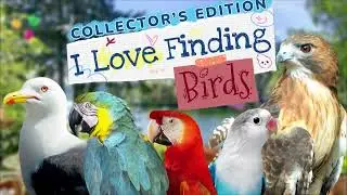I Love Finding Birds - Collector's Edition - HOPA Games - iWin