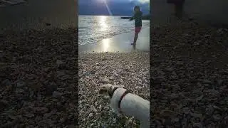 Vaya à la mer