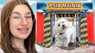 TESTUJEMY AUTOMATYCZNĄ MYJNIE DLA PSA!