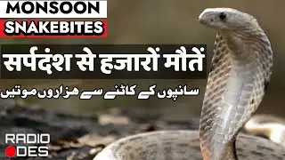 Snakebite Deaths In India