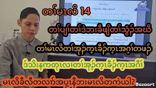 တၢ်မၤလိ (14) တၢ်ပျၢ်တၢ်ဒဲဘးခီဖျိတၢ်သွံၣ်အဃိ