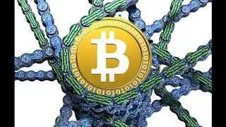 Jim Epstein on Bitcoin, the Blockchain, and Freedom in Latin America 2/13/2017