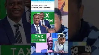 Trouble in Tinubu Tax Law as chairman is caught on camera exposing Presidency & National Assembly.