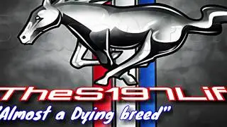 NEW CHANNEL| 2005 MUSTANG GT