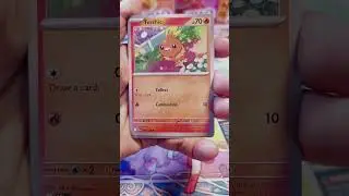 The Birds and the Dragon Monsters! #pokemontcg