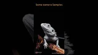 Iqoo 8 pro camera leaks🔥🔥🔥.2021