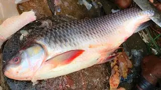 Skillful Fisherman Rohu Fish Cutting Skills At Asian Fish Market, Big Rohui Fish Slicing Techniques