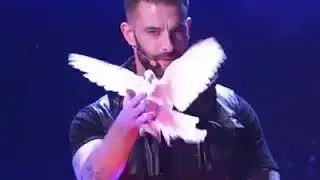 Jaw dropping magic tricks