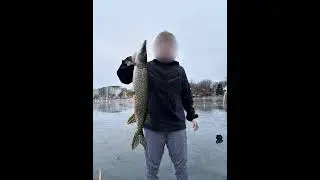 Pike Alert