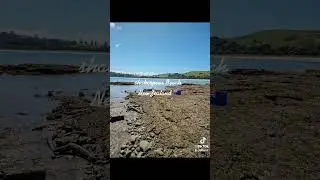 Shakespeare beach