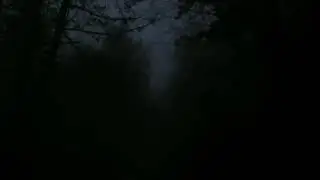 Black Hill &bull; Rebirth Of The Shadow Deer - Maze In The Dark Forest..