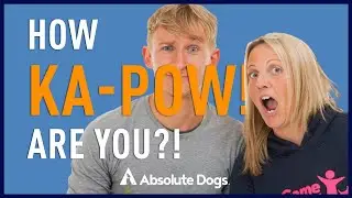 Master KAPOW To Keep Your Dog Close To You During Walks