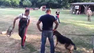 Dog Training Defense Fail