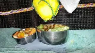 Inside the 