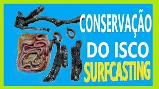 CONSERVA&Ccedil;&Atilde;O DO ISCO - NR SURFCASTING-PESCA DE PRAIA