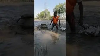 Traditional Mud Fishing Video