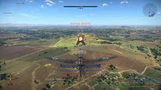 Stuka Kanonenvogel